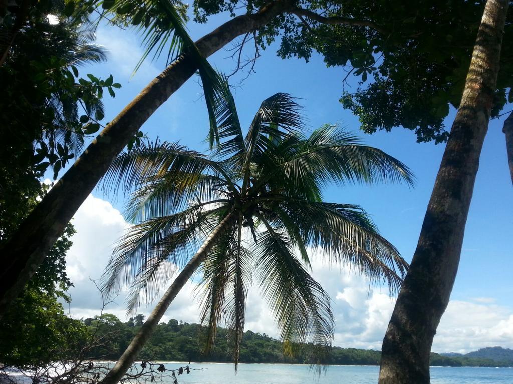 Mar Verde Lodge Puerto Viejo de Talamanca Zewnętrze zdjęcie