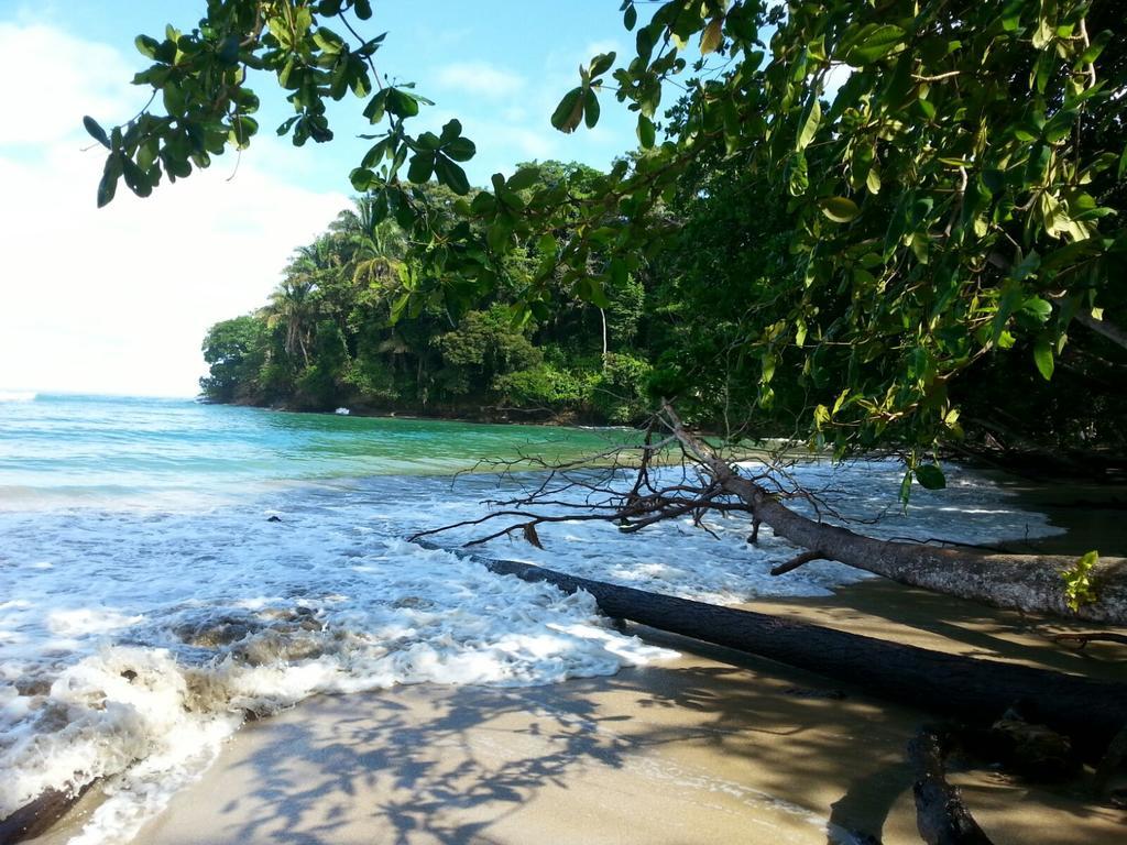 Mar Verde Lodge Puerto Viejo de Talamanca Zewnętrze zdjęcie