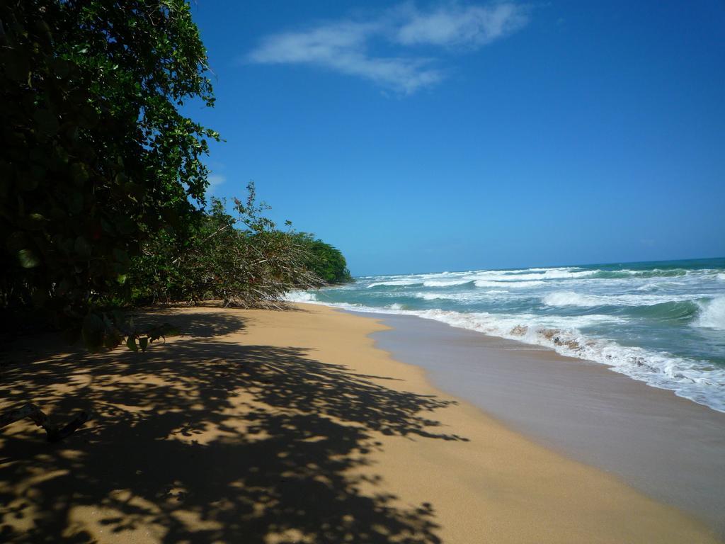 Mar Verde Lodge Puerto Viejo de Talamanca Zewnętrze zdjęcie