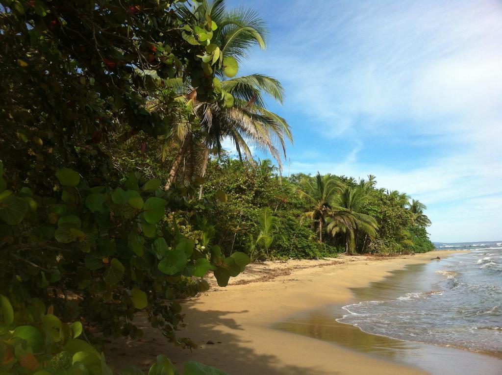 Mar Verde Lodge Puerto Viejo de Talamanca Zewnętrze zdjęcie