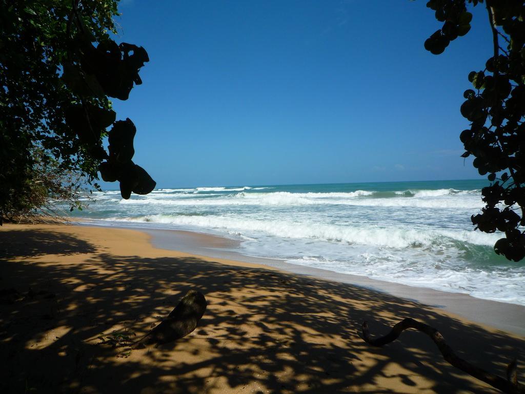 Mar Verde Lodge Puerto Viejo de Talamanca Zewnętrze zdjęcie