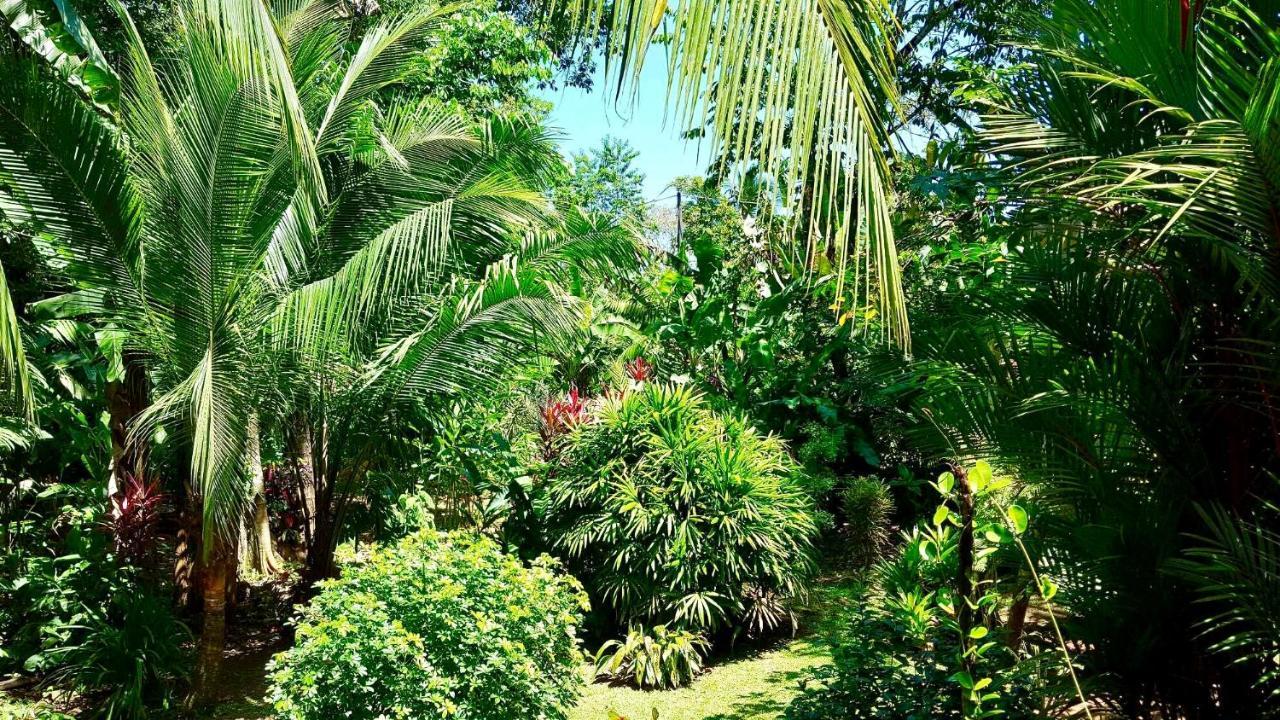Mar Verde Lodge Puerto Viejo de Talamanca Zewnętrze zdjęcie