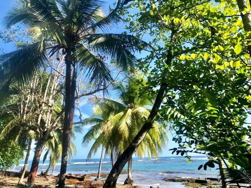 Mar Verde Lodge Puerto Viejo de Talamanca Zewnętrze zdjęcie